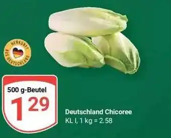 Globus Deutschland chicoree Angebot