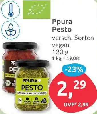 Budni Ppura Pesto 120 g Angebot