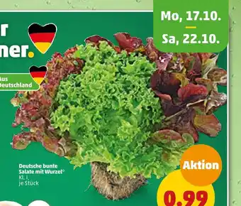 PENNY Mo, 17.10. - sa, 22.10. bunte salate mit wurzel Angebot