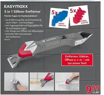 Selgros Easymaxx 5 in 1 silikon-entferner Angebot