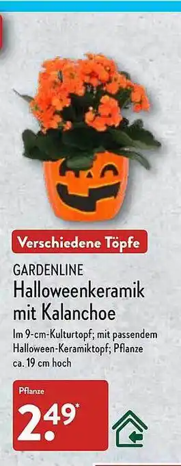 Aldi Nord Gardenline halloweenkeramik mit kalanchoe Angebot