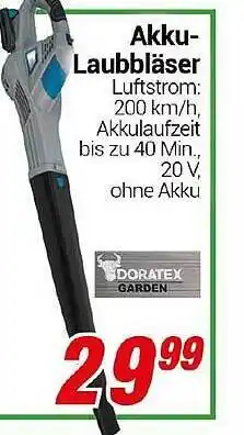 CENTERSHOP Akku-laubbläser doratex Angebot