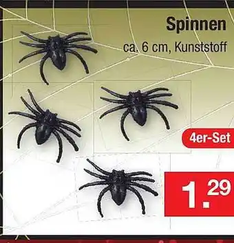 Zimmermann Spinnen Angebot