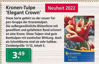 Kiebitzmarkt Kronen-tulpe 'elegant crown' Angebot