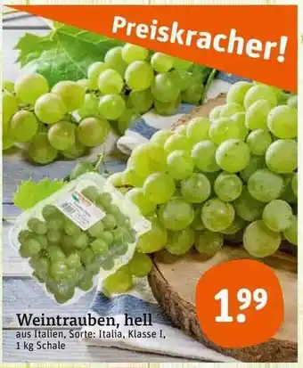 tegut Weintrauben, hell Angebot