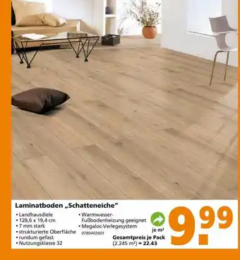 Globus Baumarkt Laminatboden „schatteneiche“ Angebot