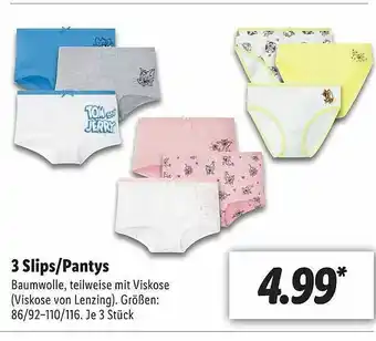 Lidl 3 Slips Oder Pantys Angebot