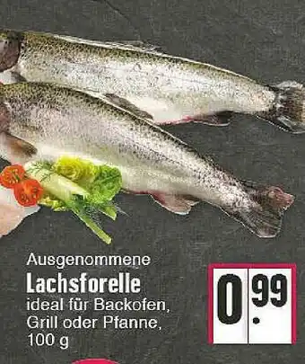 Edeka Ausgenommene Lachsforelle Angebot