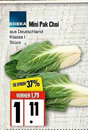 Edeka Mini Pak Choi Angebot bei Edeka