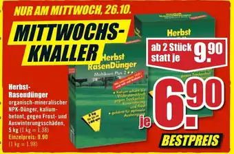 B1 Discount Baumarkt Herbst Rasendünger Angebot