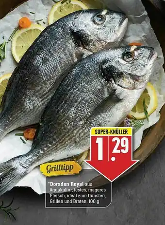 Edeka Doraden Royal Angebot