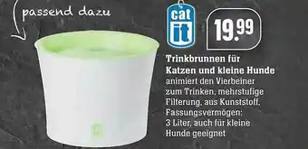 Edeka Trinkbrunnen Für Katzen Und Kleine Hunde Angebot