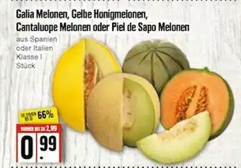 Edeka Frischemarkt Galia Melonen, Gelbe Honigmelonen, Cantaloupe Melonen Oder Piel De Sapo Melonen Angebot