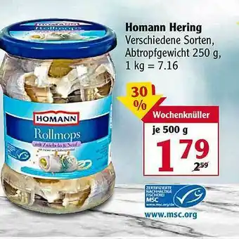 Globus Homann Hering Angebot