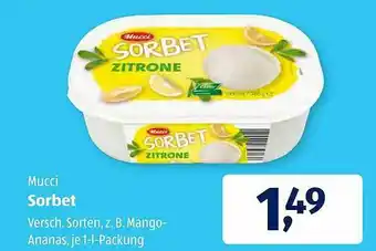 Aldi Süd Mucci Sorbet Angebot