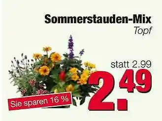 Edeka Scherer Sommerstauden-mix Angebot