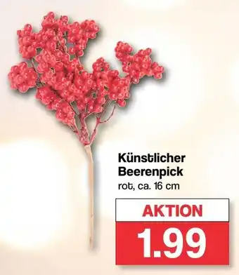 Famila Nord West Künstlicher Beerenpick Angebot