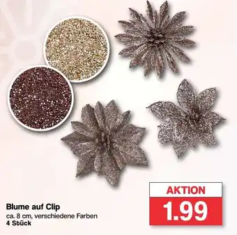 Famila Nord West Blume auf Clip Angebot