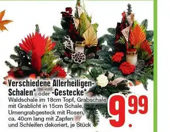 Edeka Verschiedene allerheiligen-schalen oder -gestecke Angebot