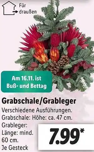 Lidl Grabschale oder grableger Angebot