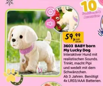 Idee+Spiel Baby born My Lucky Dog Angebot