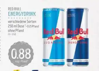 Edeka Struve Red bull energy drink Angebot