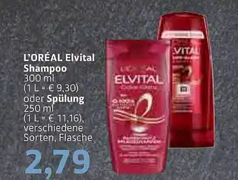 BUNGERT L'oréal elvital shampoo or spülung Angebot