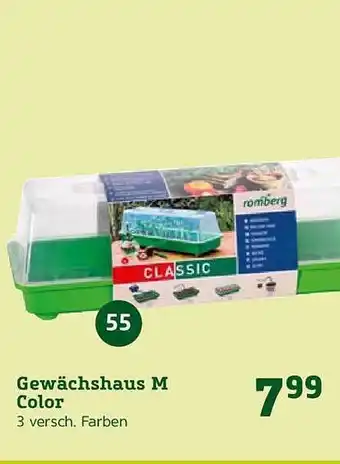 Pflanzen Kölle Gewächshaus M Color Angebot