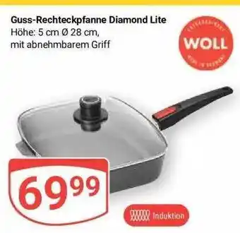 Globus Guss-rechteckpfanne diamond lite woll Angebot