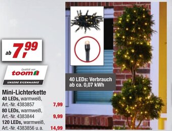 toom Baumarkt Mini Lichterkette Angebot