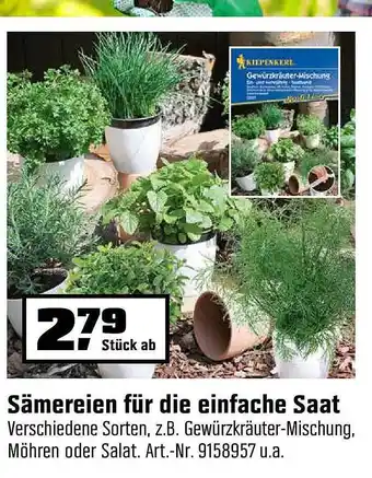 OBI Sämereien für die einfache Saat Angebot