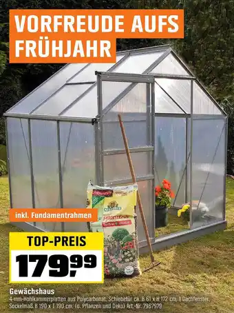 OBI Gewächshaus Angebot