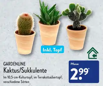 Aldi Nord Gardenline Kaktus/Sukkulente Angebot