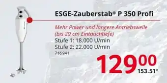 Selgros ESGE-Zauberstab P 350 Profi Angebot