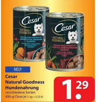 Famila Nord West Cesar Natural Goodness Hundenahrung Angebot