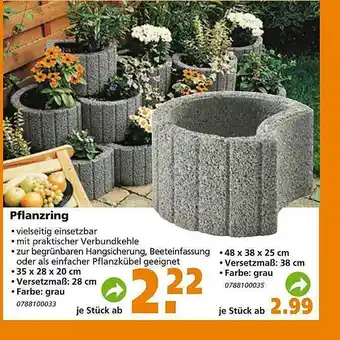 Globus Baumarkt Pflanzring Angebot