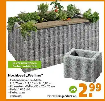 Globus Baumarkt Hochbeet „wellino” Angebot