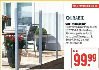 Hellweg Durabil Glas-windschutz Angebot