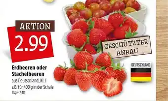 Kupsch Erdbeeren Oder Stachelbeeren Angebot