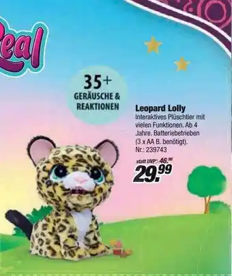 Rofu Kinderland Leopard lolly Angebot