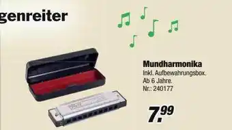 Rofu Kinderland Mundharmonika Angebot