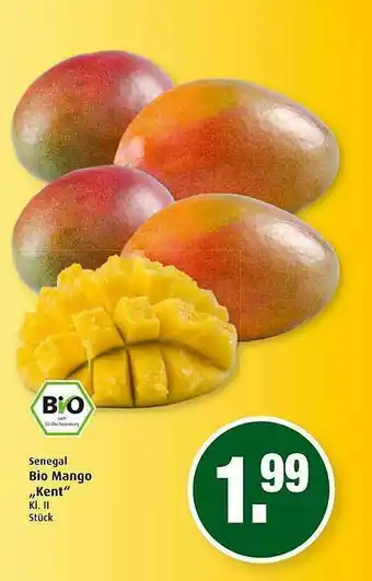 Markant Senegal Bio Mango „kent” Angebot