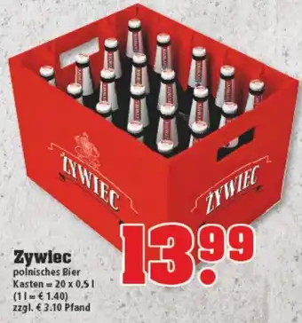 trinkgut Zywiec 20x0,5L Angebot