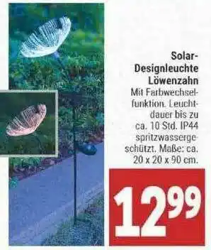 Marktkauf Solar-designleuchte Löwenzahn Angebot