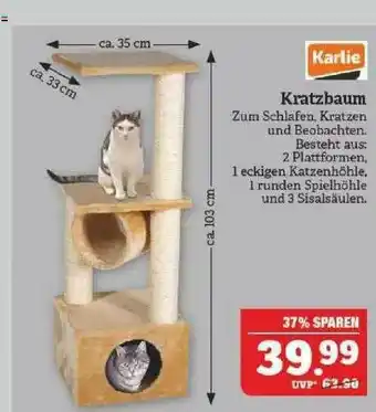 Marktkauf Karlie Kratzbaum Angebot