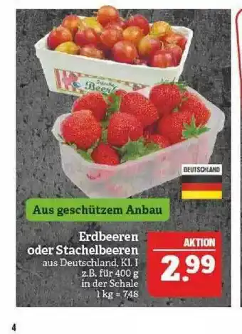 Marktkauf Erdbeeren Oder Stachelbeeren Angebot