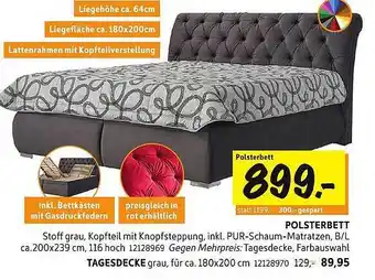 SCONTO Polsterbett oder tagesdecke Angebot