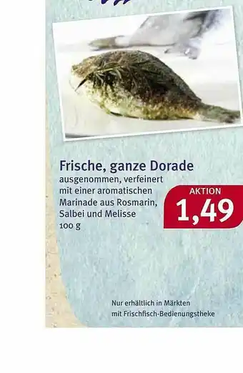 Feneberg Frische, Ganze Dorade Angebot