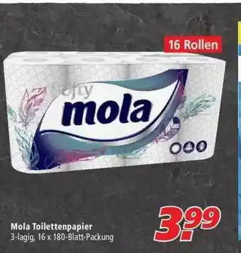 Marktkauf Mola Toilettenpapier Angebot