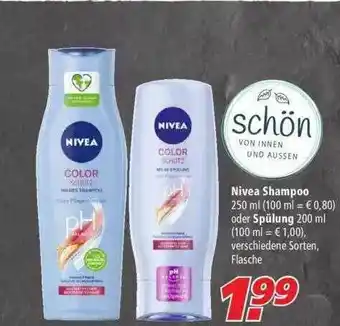 Marktkauf Nivea Shampoo Oder Spülung Angebot